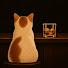 6pUd_EJRAs8-channel-avatar-Billy's Lounge
