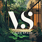 Vision Space logo