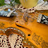 obH_GQuRFi0-channel-avatar-Wulffenstejn Hardanger Fiddles