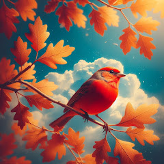 ヒロメラ【ゆっくり実況】