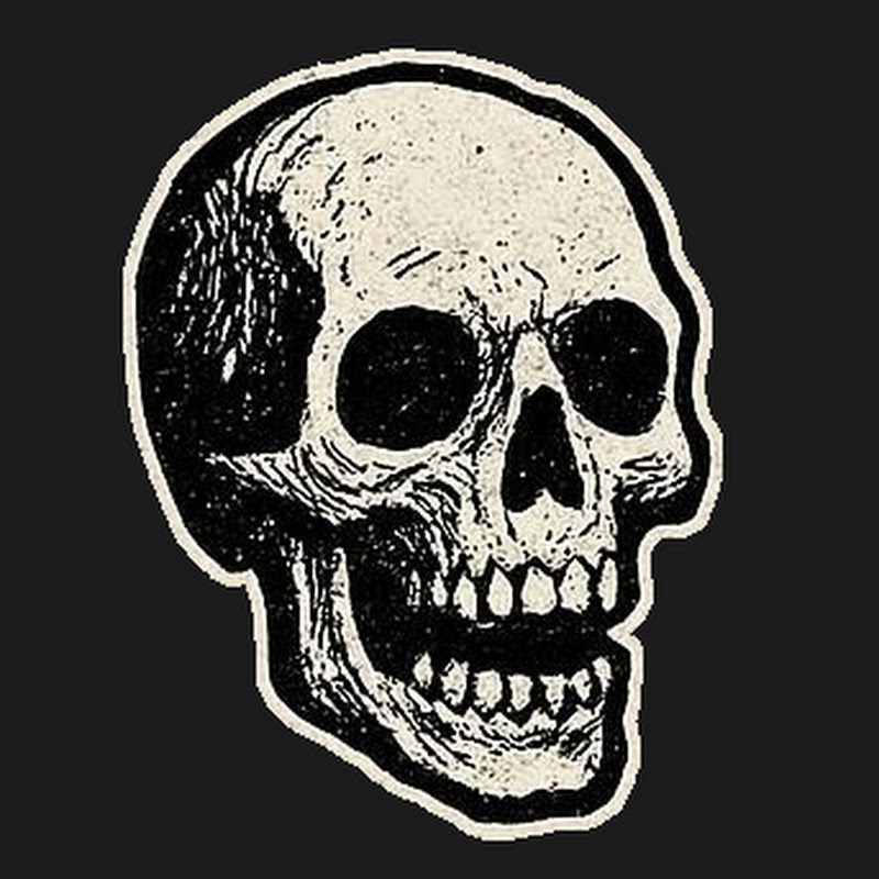Screamin' Doctor logo