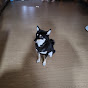 영화덕후