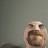@guxtavo4282