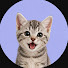 WqgEoSgLFcE-channel-avatar-NAM PM