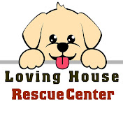 Loving Home - Rescue Center