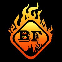 Binge Flame profile image