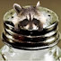 dVWo1Xb8NJQ-channel-avatar-TheSaltyRacoon