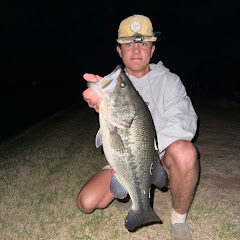 willfishes