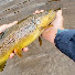 F6w8RdPEDxE-channel-avatar-Yorkshire Fly Fishing - Steve Waite