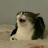 @HappyAdversary