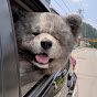 秋田犬長毛カイととーちゃんの物語