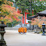 VVeaeuXTWKw-channel-avatar-Koyasan Stillness | 高野山



