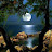 @138Paradise
