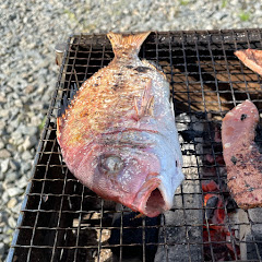 ヘミングウェイバスケchアイコン画像