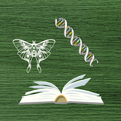 Explorations in Biology, Evolution, and More