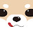 @지긱-t4t2t