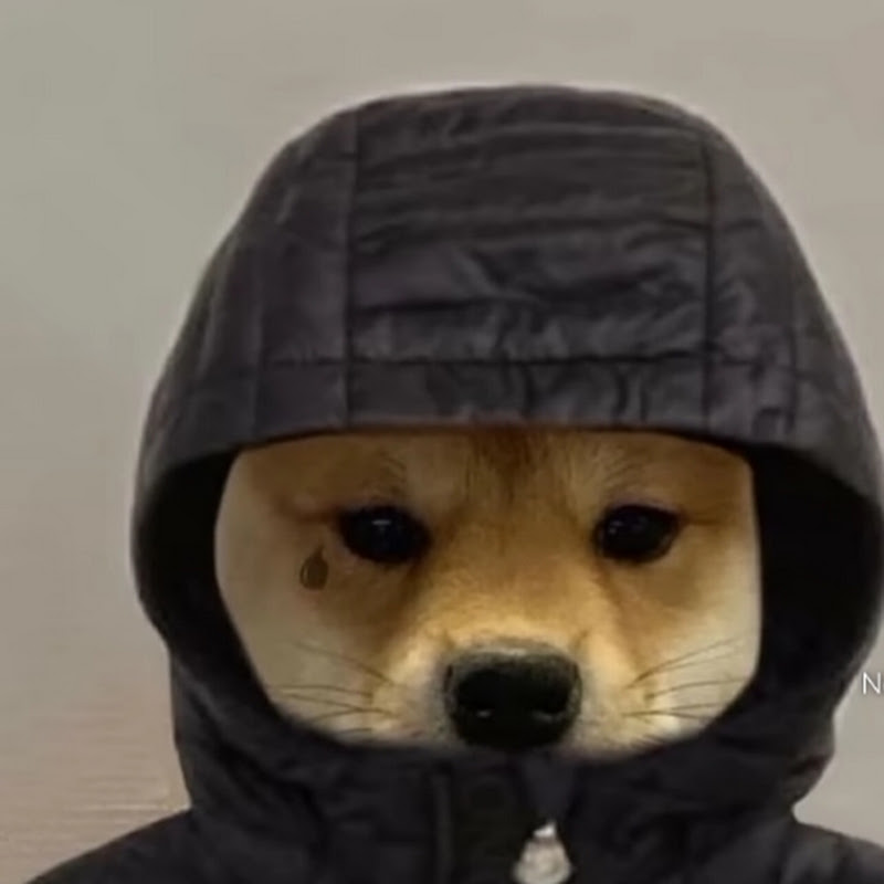 eu já desisti do meu canal