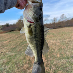 LMJ_bassfishing