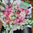 @이잼일하시게-o7k