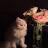@رنا.5ى