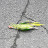 @EggSaws Avatar