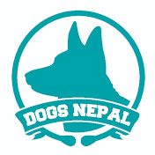 Dogs Nepal Pet Store And Grooming Parlour