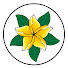 NxvwokQ0A0I-channel-avatar-FromTheMat.Academy