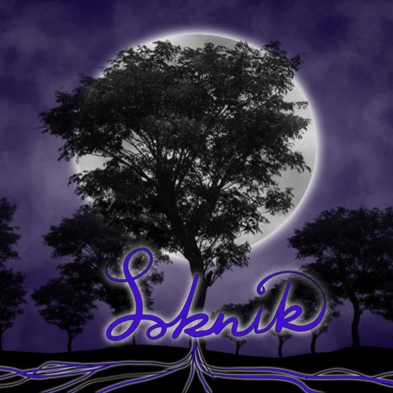 Loknik
