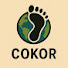 k6gTzoCdYlY-channel-avatar-Cokor Walk Tour