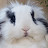 @Le_Franc_Velu