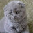 @فرتك-ث7ط