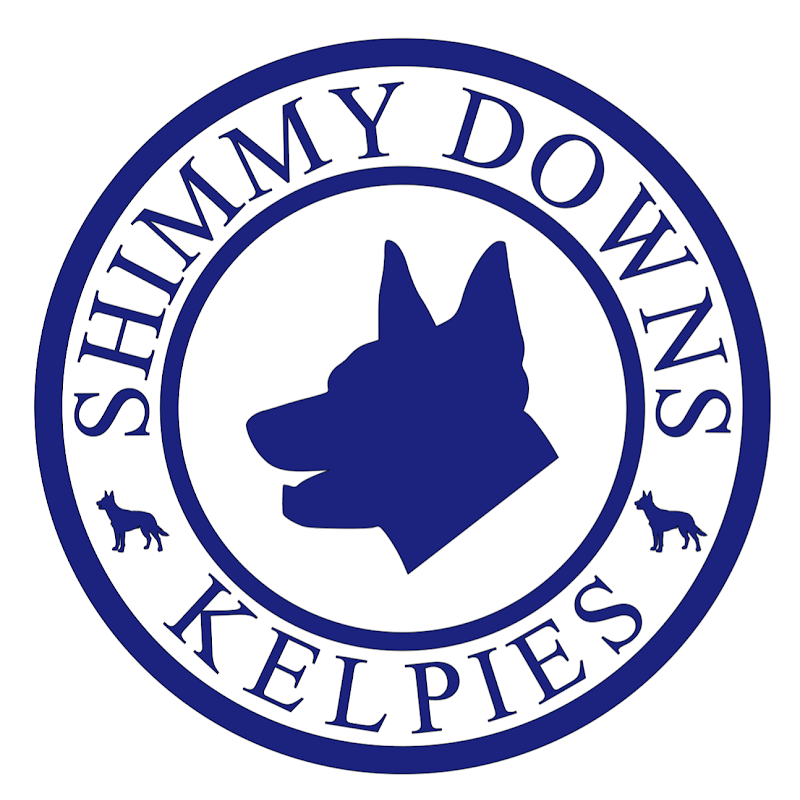 Shimmy Downs Kelpies