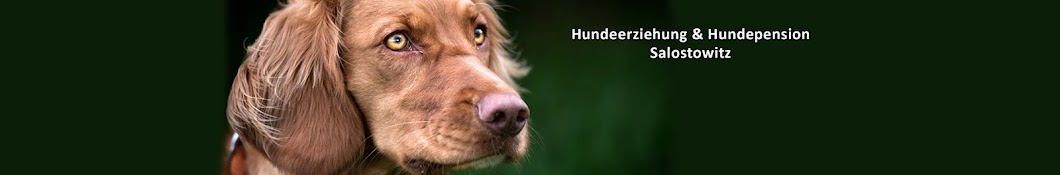 Hundeerziehung Hundepension Salostowitz YouTube kanalı avatarı