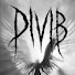 dsfJrSE-MRM-channel-avatar-divib