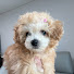 i-prLqfLFS0-channel-avatar-콩순이네