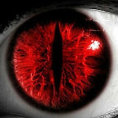 PROJECT DARKKNIGHT HORROR