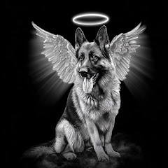 KarenReadTrial.AiOfficial