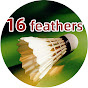 16 feathers