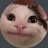 @Begula27