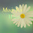 @ponleepiano_meditationandc8547