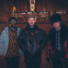 Too Many Zooz net worth