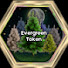 AcNx7zN3RWQ-channel-avatar-Evergreen Token