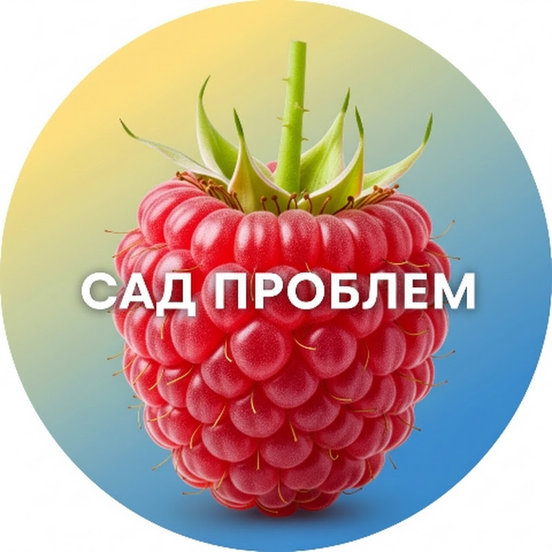 Сад Проблем