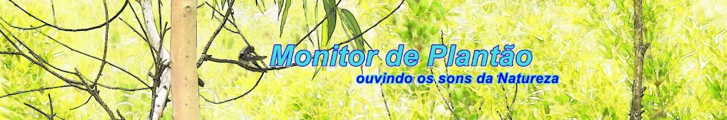Monitor de PlantÃ£o ইউটিউব চ্যানেল অ্যাভাটার