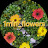 @1min_flowers