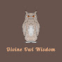 Divine Owl Wisdom logo