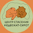 IM0Iivu0mxM-channel-avatar-Центр спасения медвежат-сирот