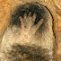 7qtF7b8x7MY-channel-avatar-Grottes de Gargas