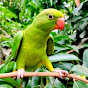 Parrot View logo