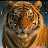 @Dreambig12-j3u